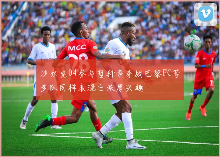 沙尔克04参与哲科争夺战巴黎FC等多队同样表现出浓厚兴趣