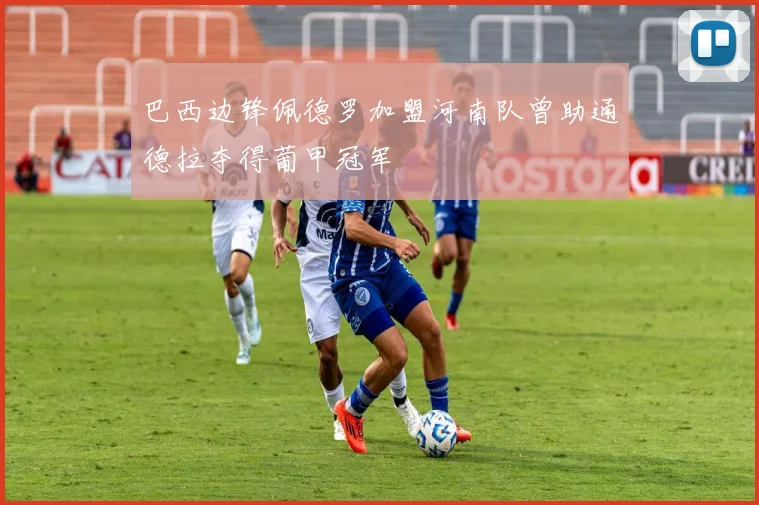 巴西边锋佩德罗加盟河南队曾助通德拉夺得葡甲冠军