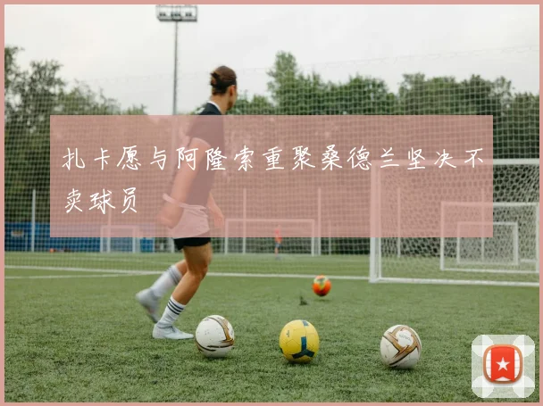扎卡愿与阿隆索重聚桑德兰坚决不卖球员